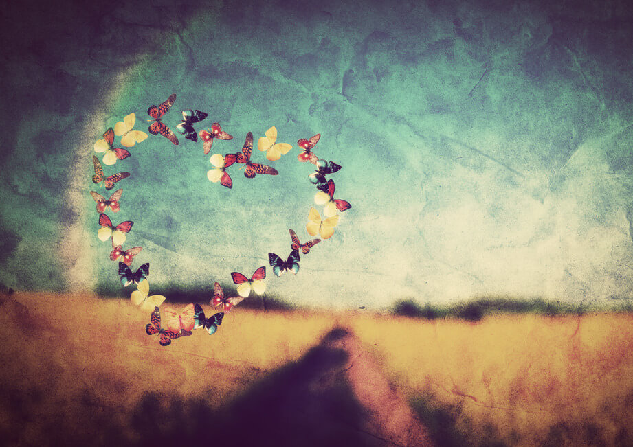Heart shape made of colorful butterflies on vintage field background